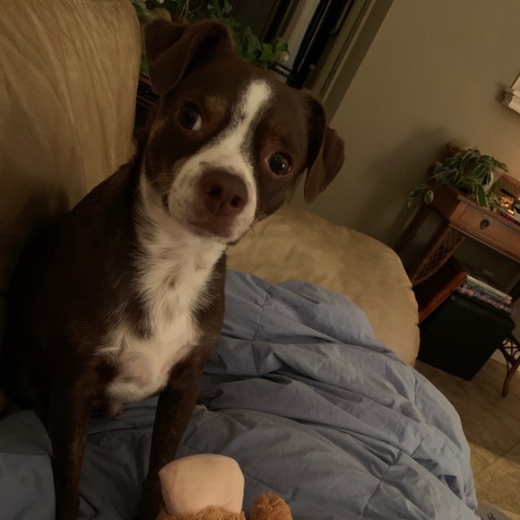 ❤️❤️ ❤️❤️ - Picture 4 of 16